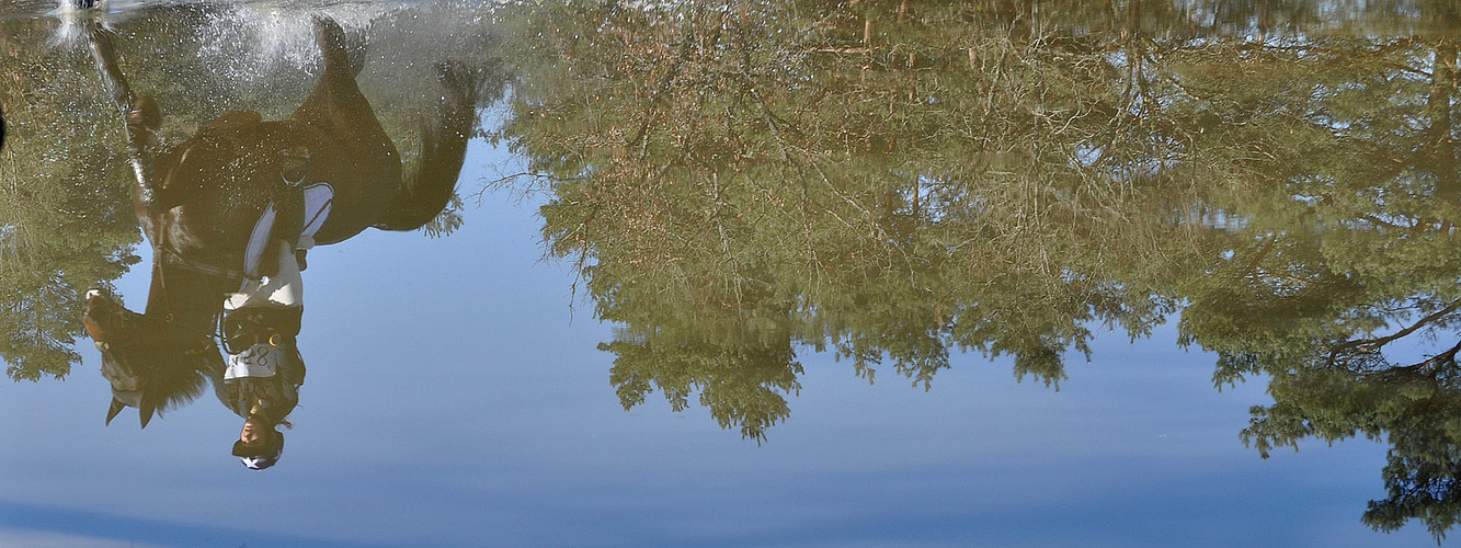 reflet