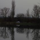 REFLET A L ETANG DE DESNE