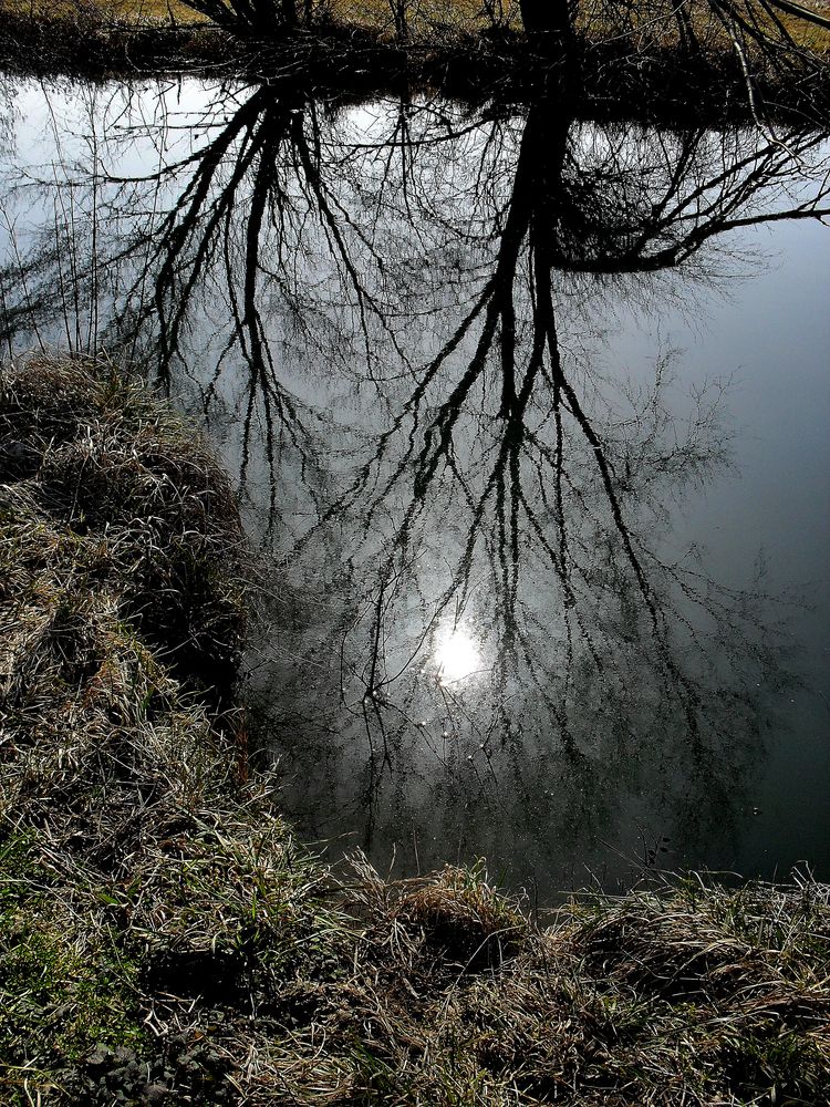 REFLET AU BORD DE LA RIVIERE