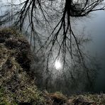 REFLET AU BORD DE LA RIVIERE