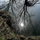 REFLET AU BORD DE LA RIVIERE