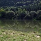 REFLET AU BORD DE L'ETANG