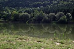 REFLET AU BORD DE L'ETANG