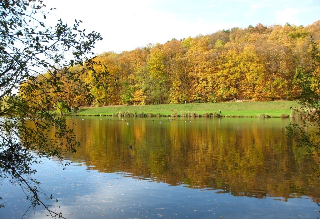 REFLET AUX COULEURS D'AUTOMNE