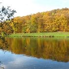 REFLET AUX COULEURS D'AUTOMNE