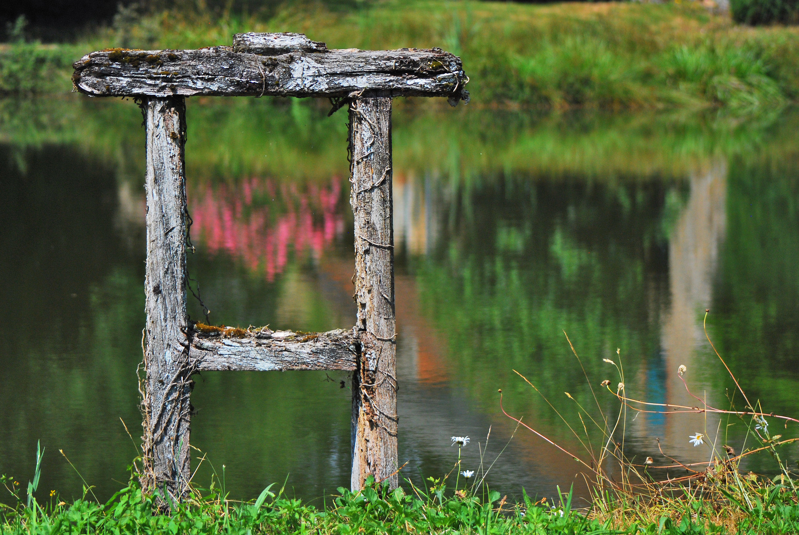 Reflet bucolique