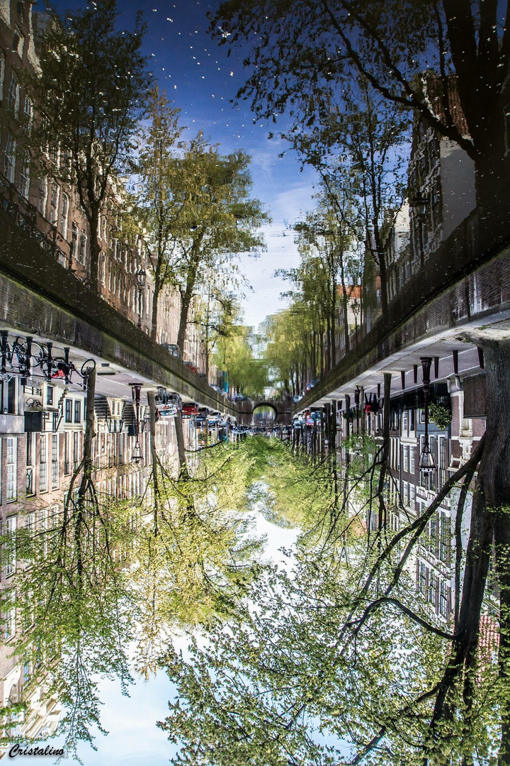 Reflet D Amsterdam