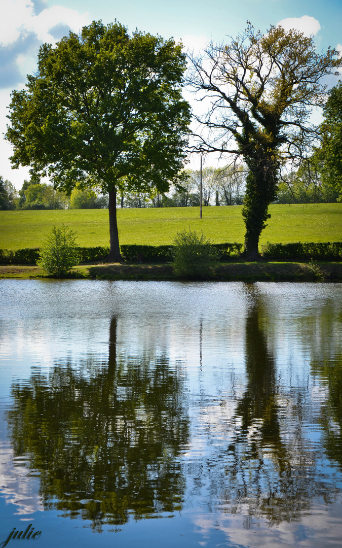 Reflet d Auvergne