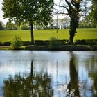 Reflet d Auvergne