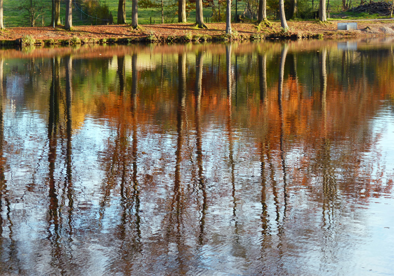 Reflet dans le lac