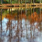 Reflet dans le lac