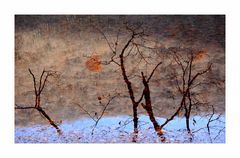 Reflet dans l'eau d'un lac pyrénéen