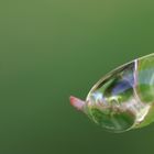 Reflet dans une goutte d'eau