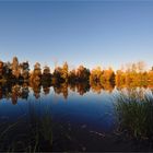 Reflet d’Automne