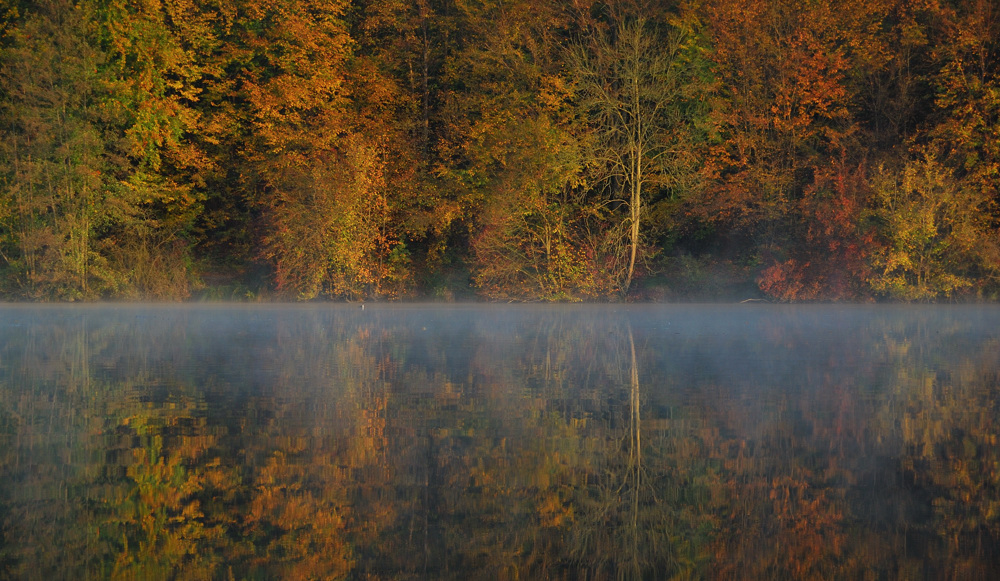 Reflet d'automne