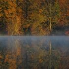 Reflet d'automne