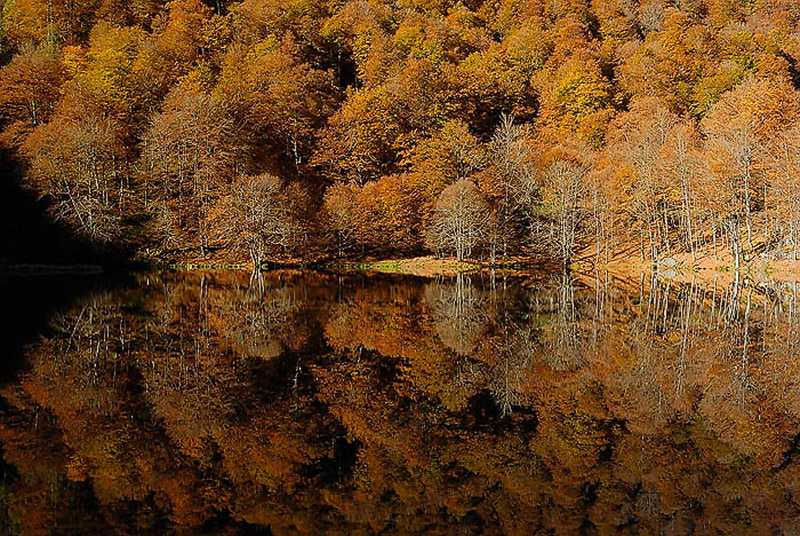 Reflet d'automne...