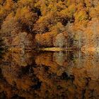 Reflet d'automne...