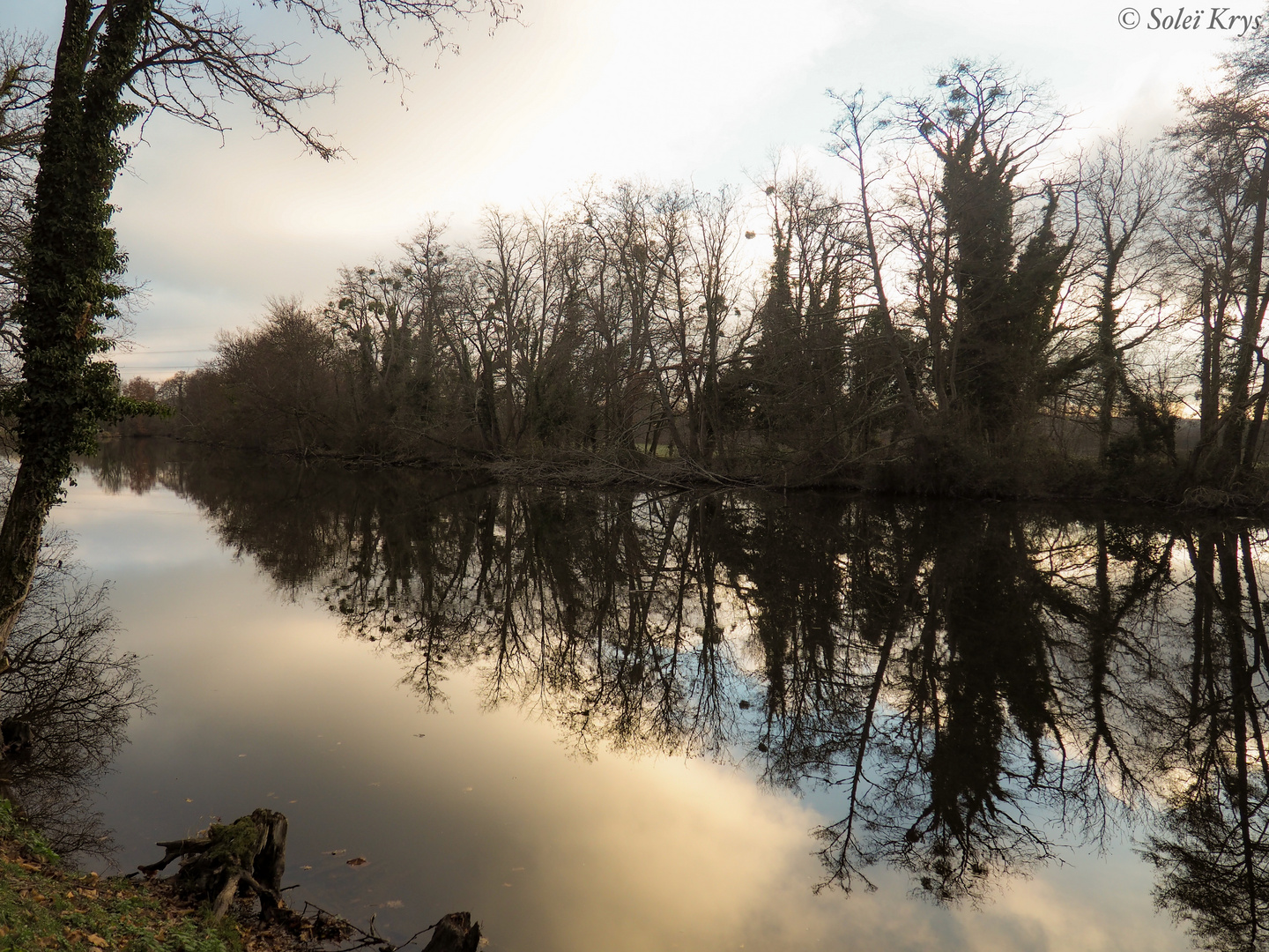 Reflet d’automne