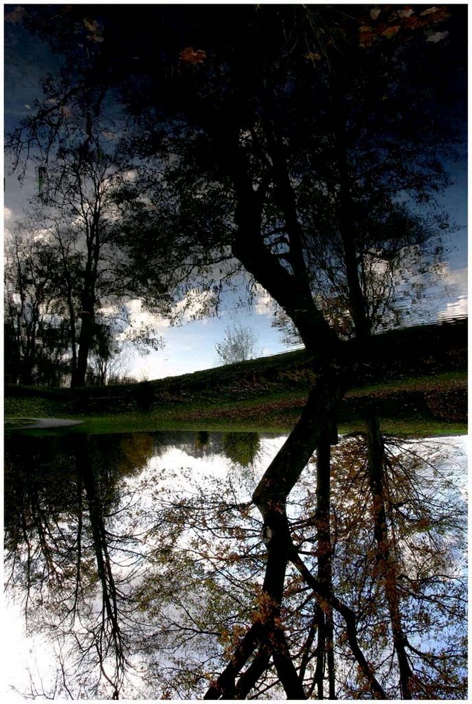 Reflet d'automne