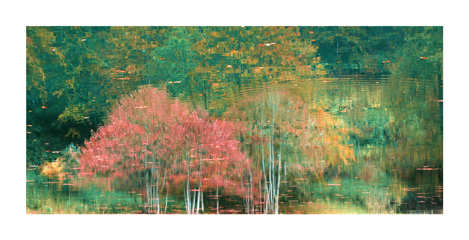 Reflet d'automne