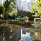 reflet de central parck