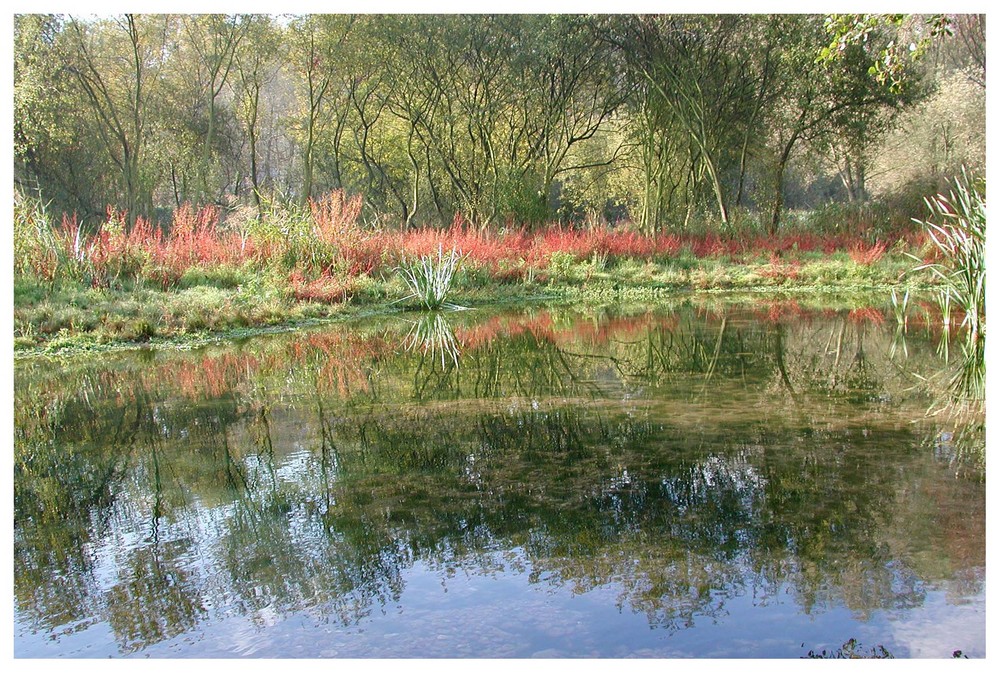 Reflet de la lumière