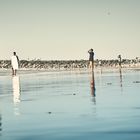 Reflet de la Plage