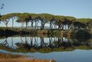 Reflet de la vie de Alain Macagno 