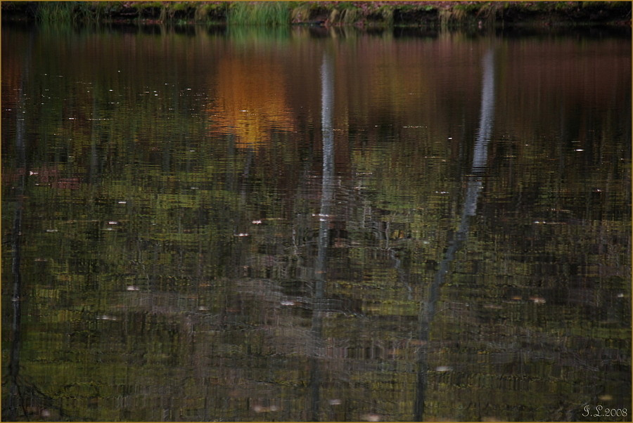 Reflet de l'automne