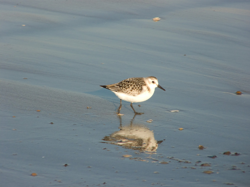 reflet de plage