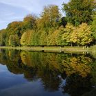 Reflet des arbres dans l'étang.