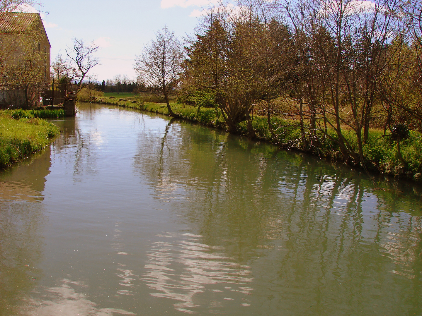 REFLET DES ARBRES SUR L EAU