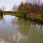 REFLET DES ARBRES SUR L EAU