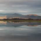 reflet des Vosges