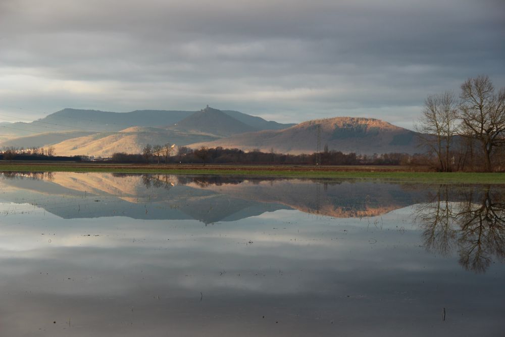 reflet des Vosges