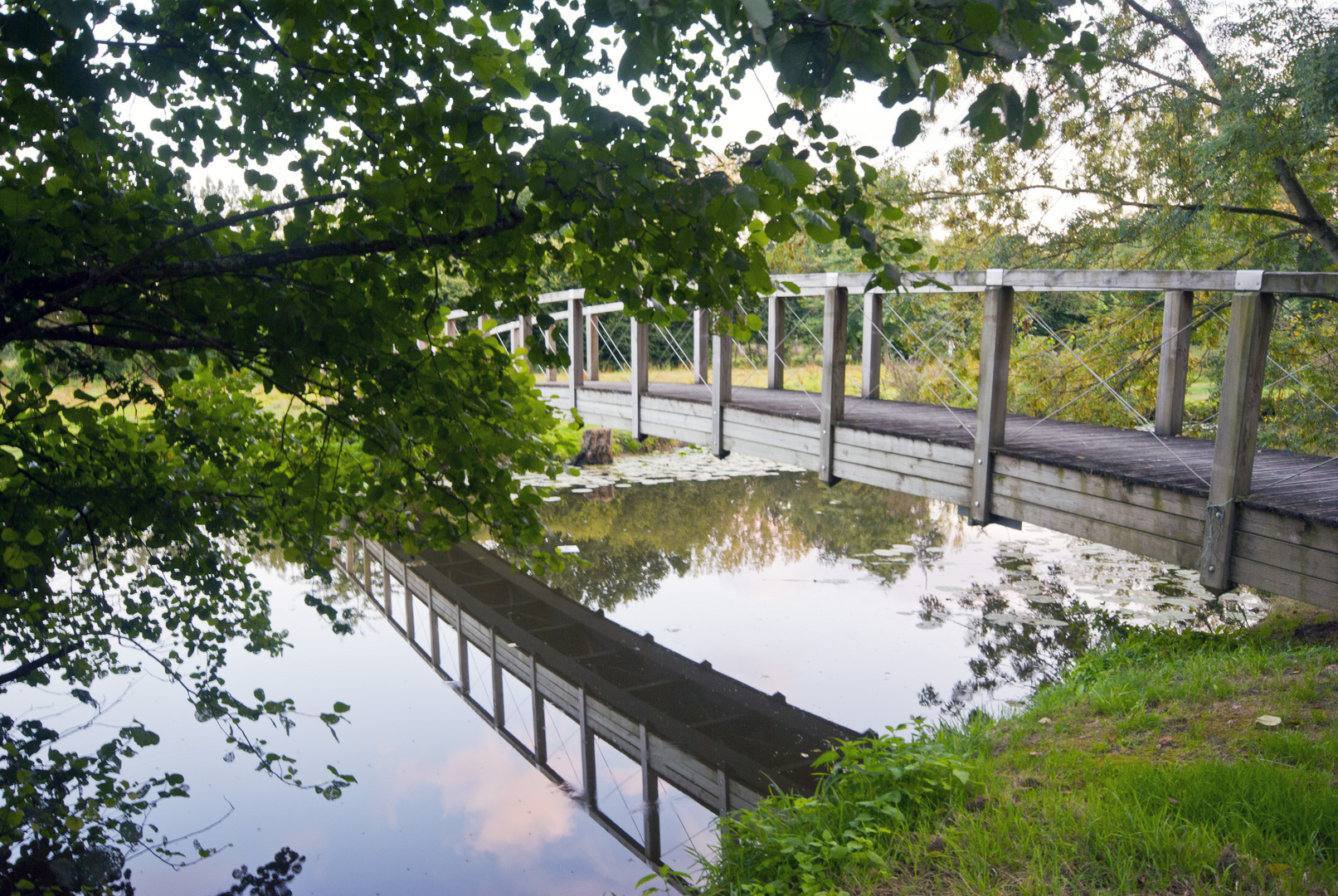 Reflet du pont de bois