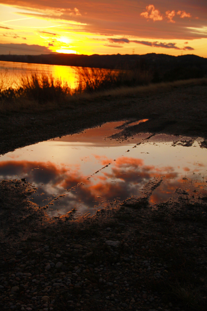 reflet du Rhône