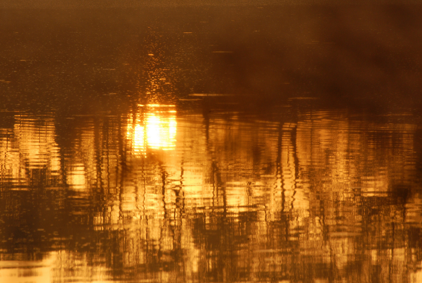 Reflet du roi soleil dans son rituel du levé