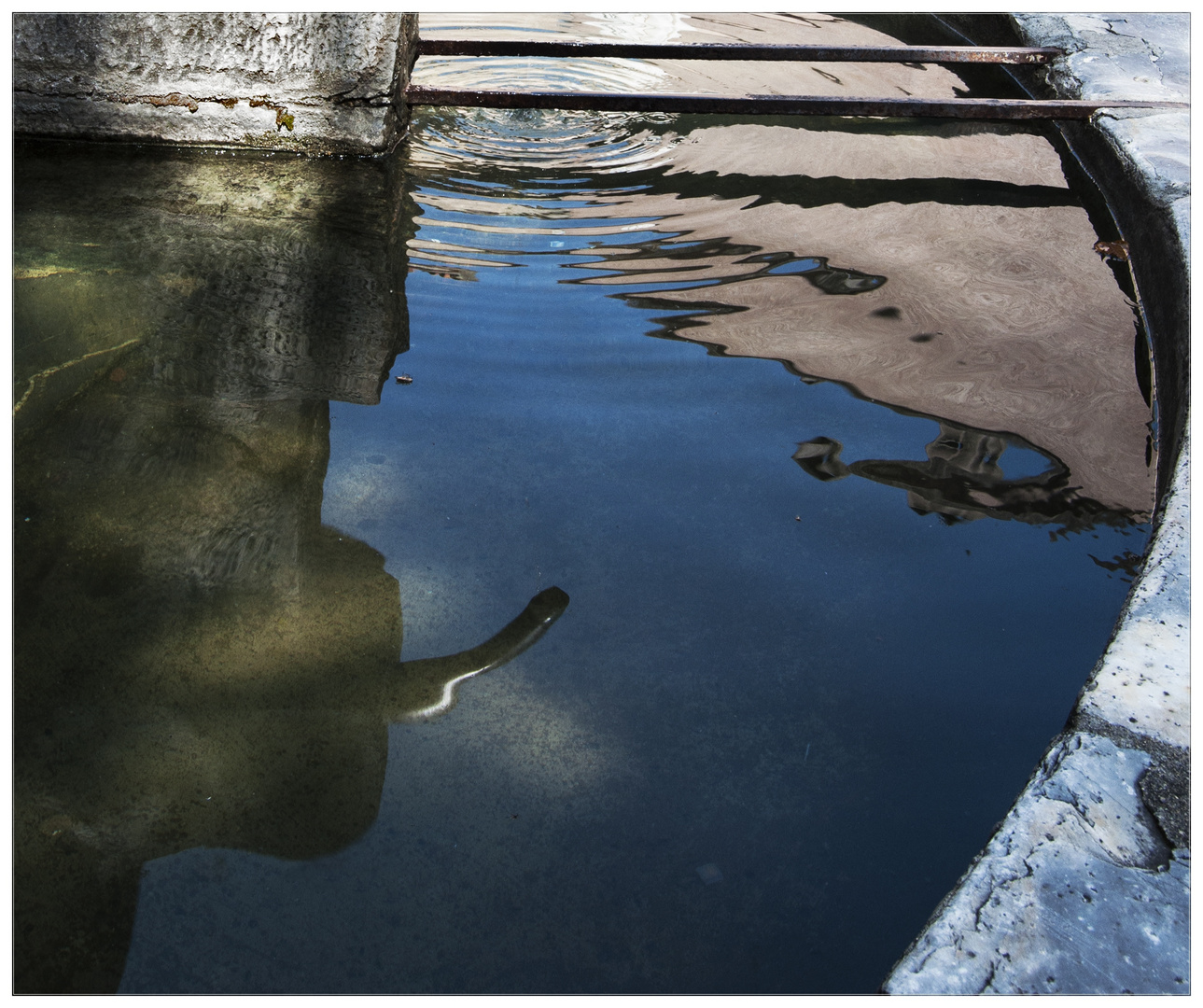 Reflet d'une fontaine