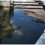 Reflet d'une fontaine