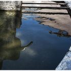 Reflet d'une fontaine