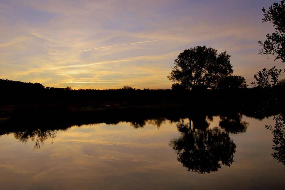 Reflet d'une nuit