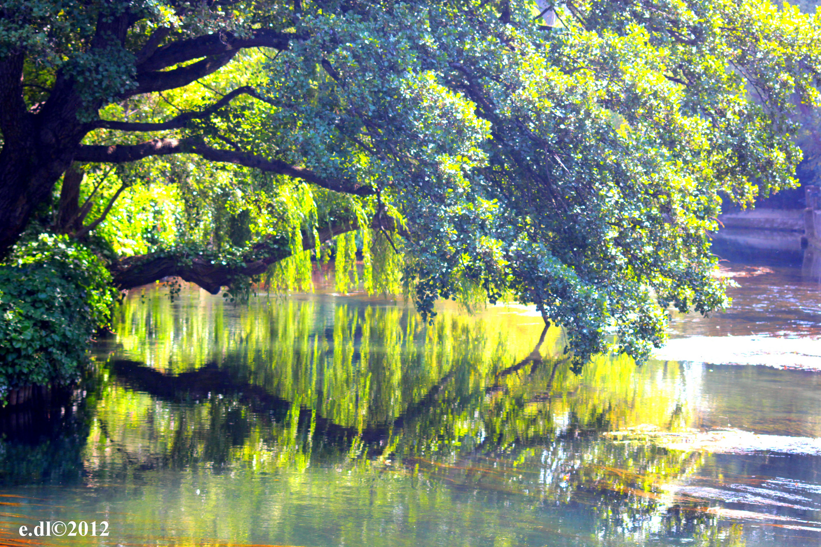  reflet  eau  photo et image paysages lacs rivi res 