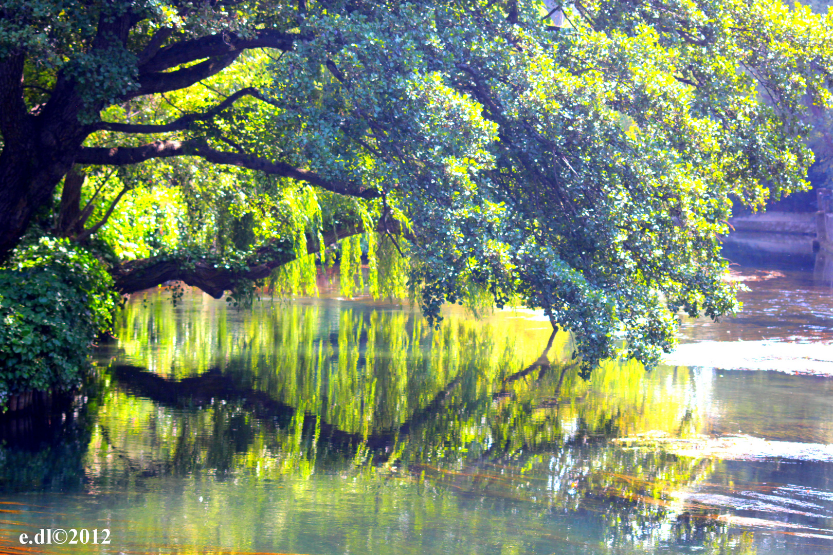 reflet eau photo et image paysages lacs rivi res reflet eau photo et image paysages lacs rivi res