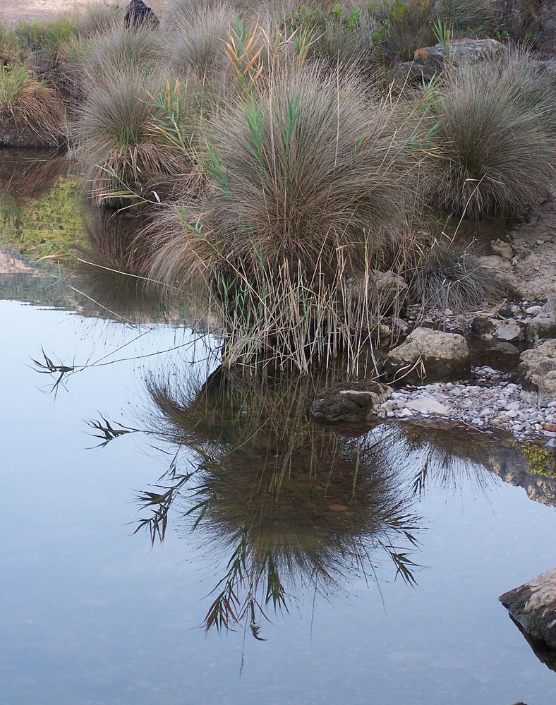 reflet von cicici 