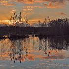 Reflet en marais de Brouage mars 2016