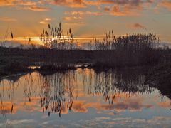 Reflet en marais de Brouage mars 2016