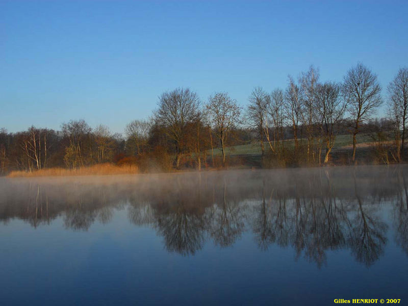 Reflet étang de l'abbaye