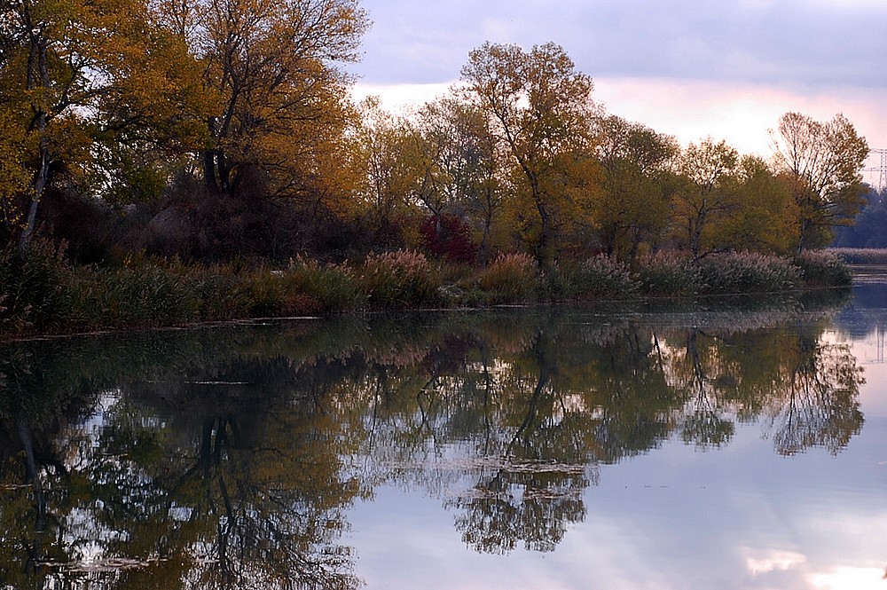 Reflet matrinal